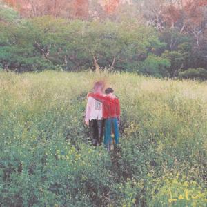 Firebugs (Simple Song)