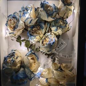 123（豆芽 / PG李嘉图 remix）