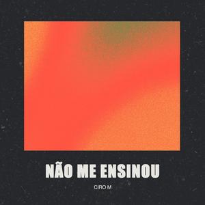Não me ensinou