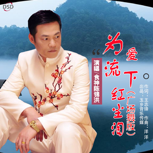 为爱流下红尘泪 (广场舞版)