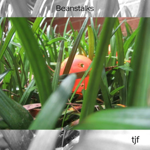 Beanstalks