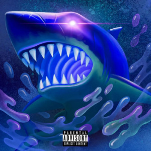 Drill Shark