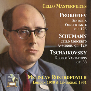 Symphony-Concerto in E Minor, Op. 125:I. Andante