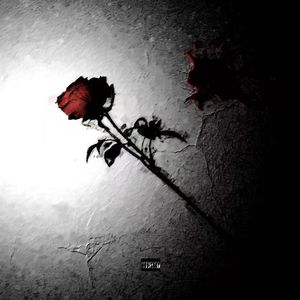 如果我的梦还没醒