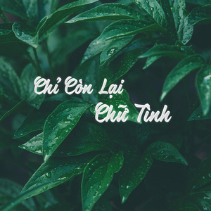 Chỉ Còn Lại Chữ Tình