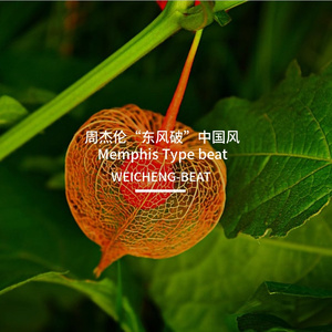 周杰伦“东风破”中国风 Memphis Type beat