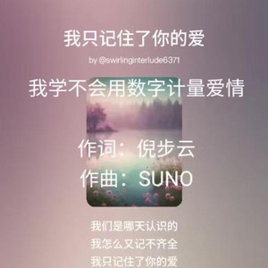 我只记住了你的爱