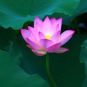 做爱 做 2021 4.21 118