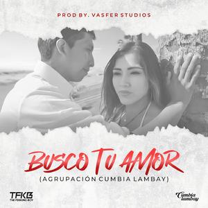 Busco Tu Amor