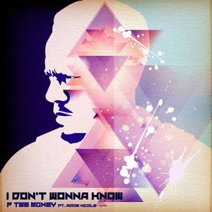 I Don't wonna Know (feat. Addie Nicole)