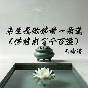 来生愿做佛前一朵莲(佛前求了千百遍)