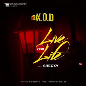 Live your Life (feat. Shegxy)