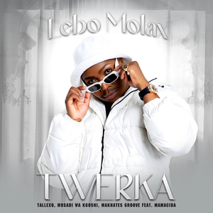 Twerka (feat. Mamacida)