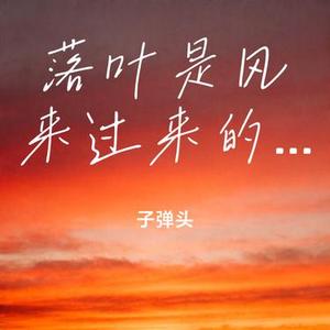 落叶是风来过来的痕迹 (子弹头 Remix)