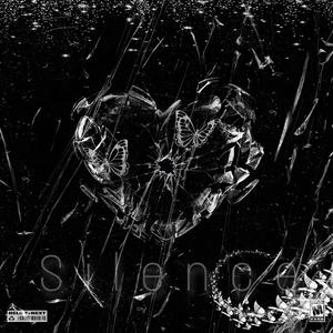 Silence ft.bigcold