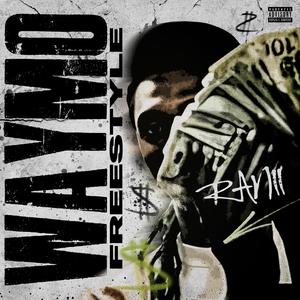 Waymo Freestyle
