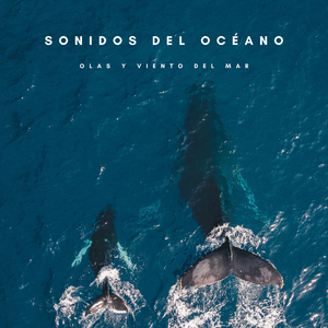 Olas Del Mar