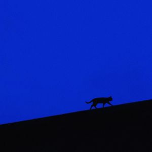 紫罗兰永恒花园ED（路标）