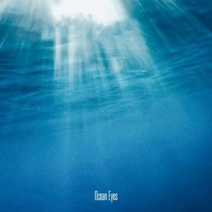 OceanEyes 海洋之眼