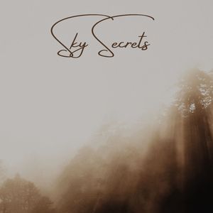 The Sentimentality (Scaled Down Version)