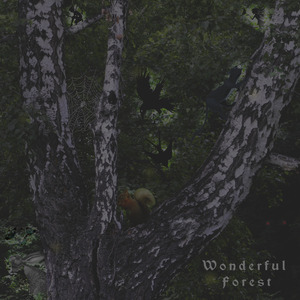 Wonderful Forest