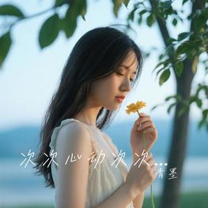 次次心动次次心痛 (青墨 Remix)