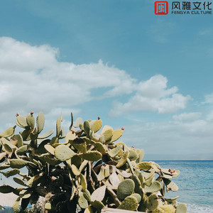 婴儿宝宝睡觉最佳作品 -小提琴