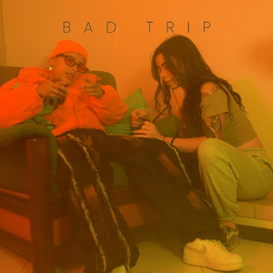 Bad Trip