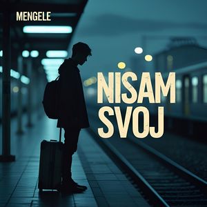 Nisam svoj