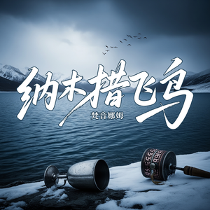 纳木错飞鸟