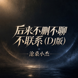 后来不删不聊不联系(DJ版)