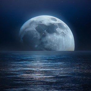 Equilibrio Calmo Del Sueño