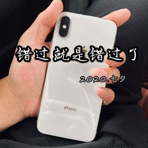 如果再见不能红着眼(抖音版)