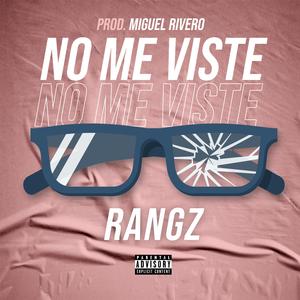 No Me Viste