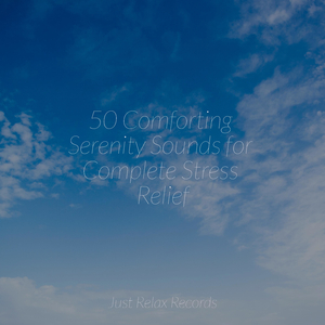 Misty Seabreeze Sojourn