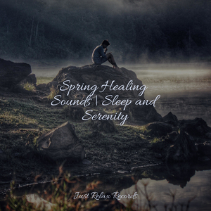 Mossy Memories in Green Hues