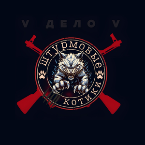 Штурмовые котики