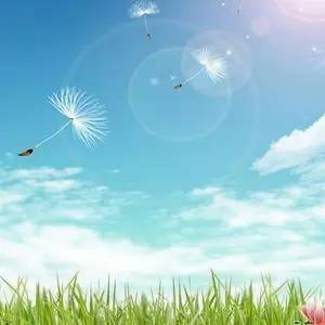 我让你依靠 (Remix)