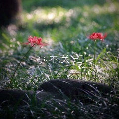 十七岁的雨季 (DJ版)
