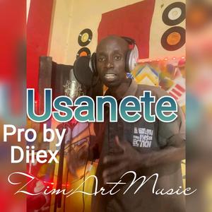 Usanete
