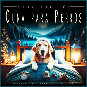 Música para Los Oídos del Perro