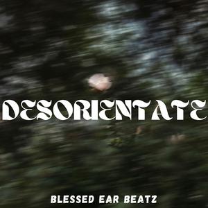 DESORIENTATE
