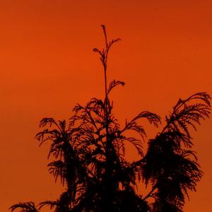 Fine By Me (Remastered)