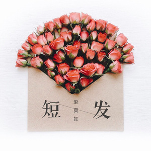 短发（Cover 梁咏琪）