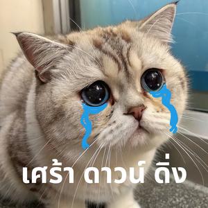 ใจหล่น (Ruined) (From ซองแดงแต่งผี)