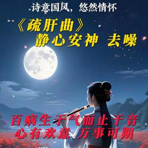 疏肝金曲《痴情冢》，闭眼聆听10分钟，静心去噪