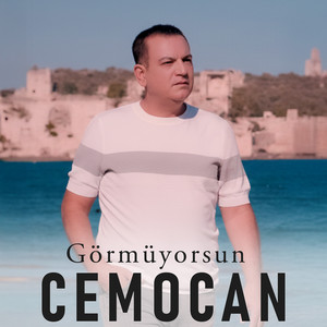 Görmüyorsun