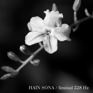 Liminal 528 Hz