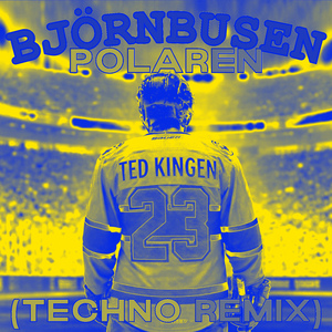 TED KINGEN 23 (TECHNO REMIX)