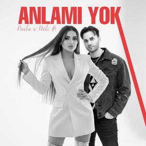 Anlamı Yok